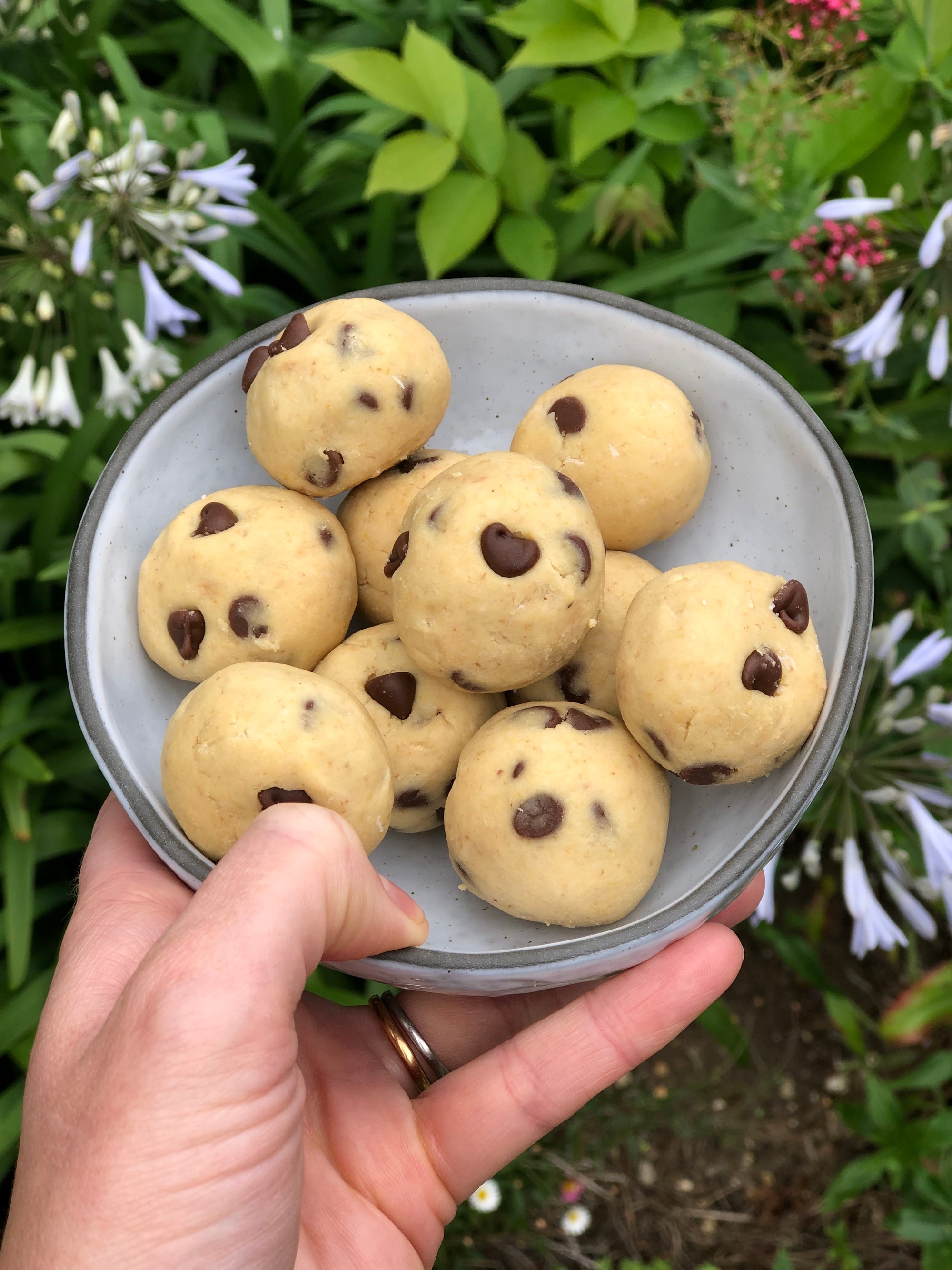 Lunchbox Snack - Chickpea Cookie Dough Balls