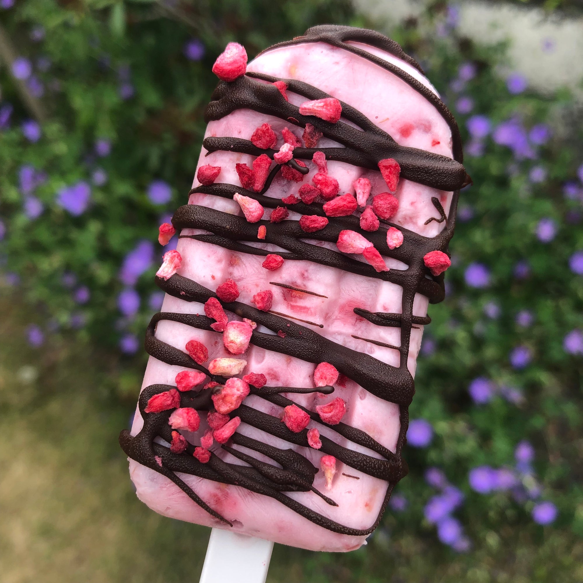 Raspberry ripple & dark chocolate ice lollies